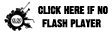 if no flash player